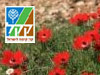 מסלול יער אמציה 