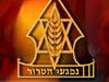 ארגון נפגעי טרור ואיבה בישראל