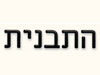התבנית
