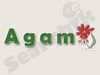 Agam