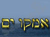 אמקו ים בע