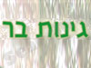 גינות בר - צמחיה הידרופונית למשרדים