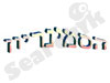הסמינריון