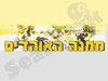 מחנה האוהדים