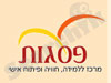 פסגות