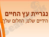 נגריית עץ החיים 