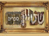 שטיין ספרים