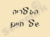 הגלריה של חיים