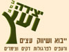יצירה ועץ
