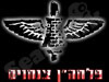 פלחהן צנחנים