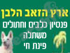 ארץ הזאב הלבן 