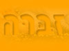 זברה