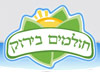 וילה נור