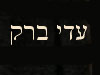 תיאטרון פלייבק עדי ברק 