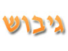 גיבוש 