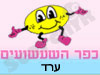 כפר השעשועים ערד 