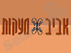 אביב מעקות 