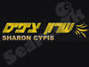 שרון ציפיס- ג'אגלינג