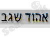 אהוד שגב
