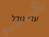 עדי גודל סולומון - דיאטנית קלינית
