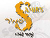 SAMIR