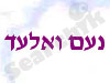 האתר של נעם