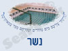 מקווה בנשר 