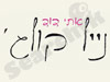 אתי דוד - נייל קולג` 