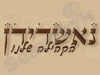 נאשדידן 
