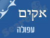 סניף אקים בעפולה