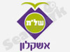 התנדבות באשקלון 