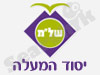 התנדבות ביסוד המעלה 
