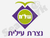 התנדבות בנצרת עילית 