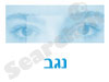 מרכז סיוע לתקיפה מינית בנגב 
