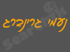 נעמי גרינברג 
