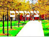 צימרים-מדריך נופש