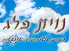 נוית פלג