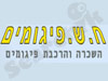 ח.ש. פיגומים 