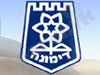 עיריית דימונה
