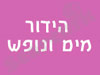 אפעל מועדון ספורט סמינר 