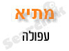 מתי