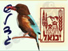 שלדג - בית הטבע ביבנאל