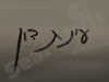 עינת דון 