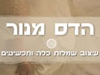 הדס מנור