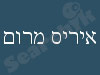 איריס מרום יועצת מס מוסמכת