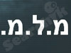 מ.ל.מ. חקירות 