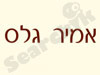 אמיר גלס