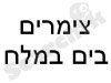 צימרים בים במלח 
