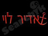 אדיר לוי