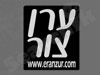 ערן צור 